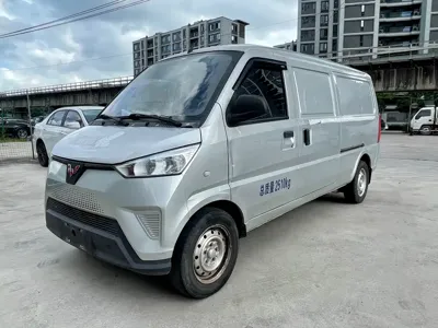 Wuling Wuling EV50