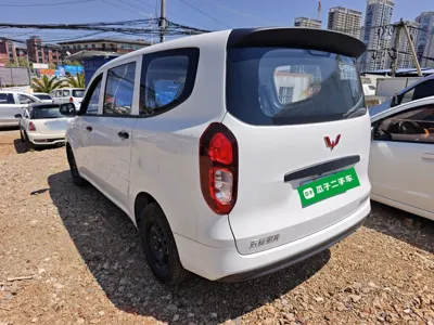 Wuling Hongguang New Energy
