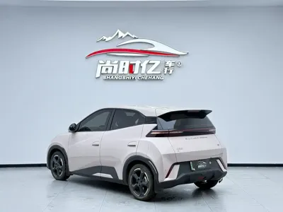 BYD Seagull