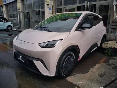 BYD Seagull