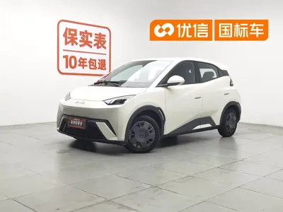 BYD Seagull