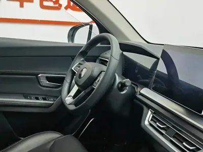 BYD Pro