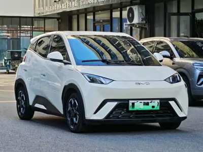 BYD Seagull
