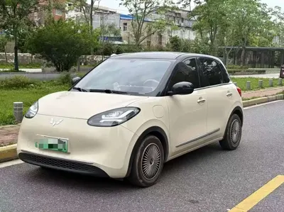 Wuling Bingo