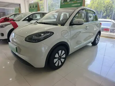 Wuling Bingo