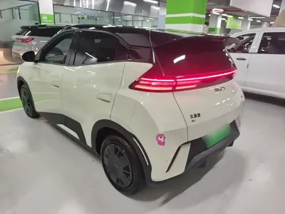 BYD Seagull