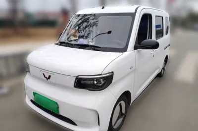 Wuling Zhiguang New Energy