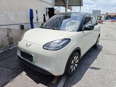Wuling Bingo