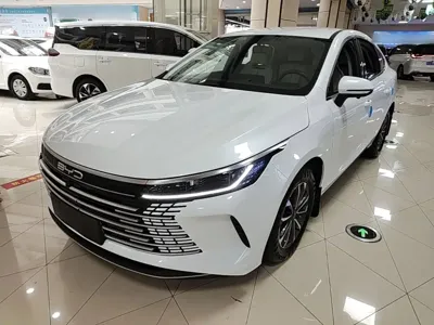 BYD Destroyer 05