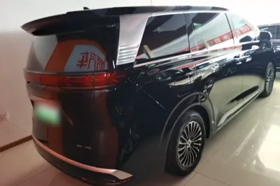 Denza D9