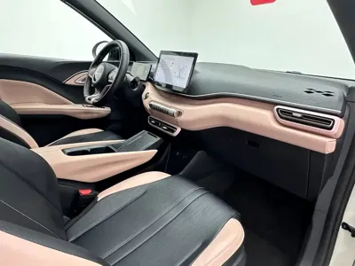 BYD Seagull