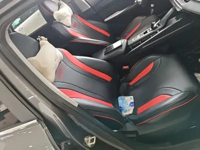 Geely Binrui