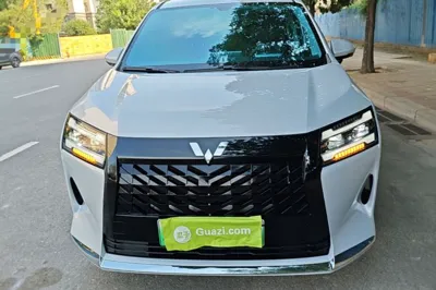 Wuling Wuling Starlight 730