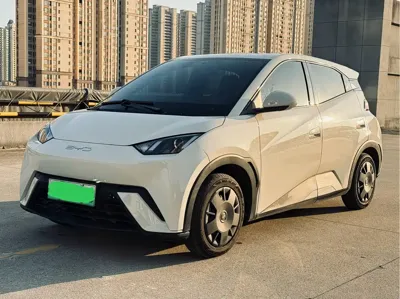 BYD Seagull