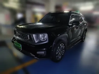 Haval H Dog