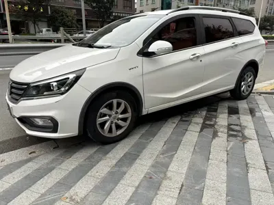 Baojun 310