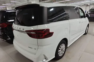 SAIC MAXUS G20