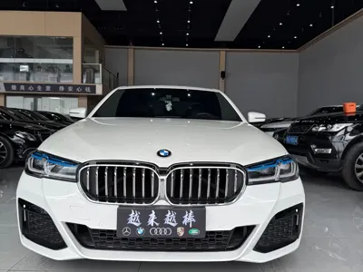 BMW 5 Series (Import)