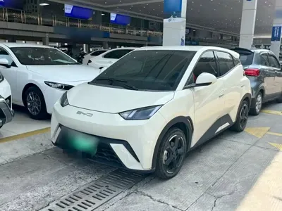 BYD Seagull