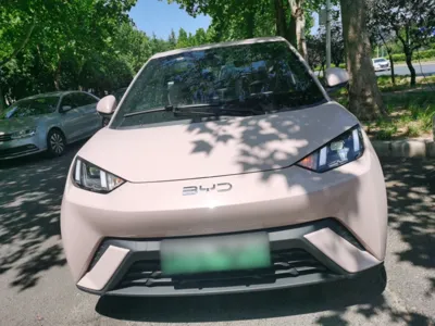 BYD Seagull