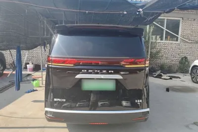 Denza D9