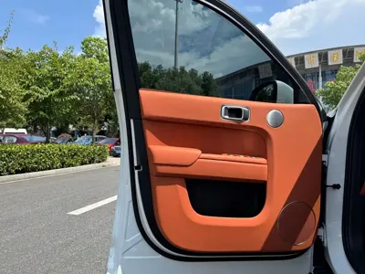 Li Auto Li L7
