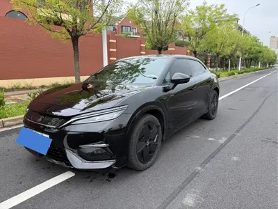 BYD L EV