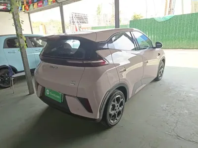 BYD Seagull
