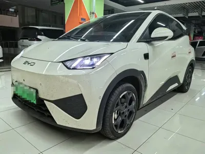 BYD Seagull
