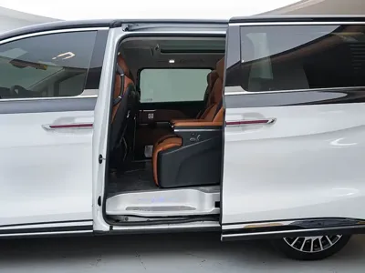 Hongqi Hongqi HQ9