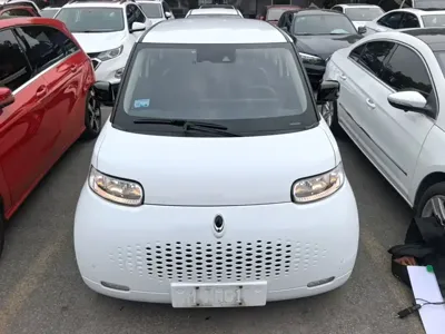 ORA Ora White Cat