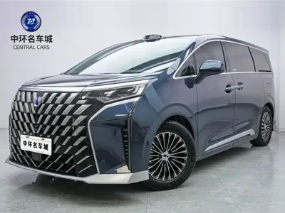 Denza Denza D9