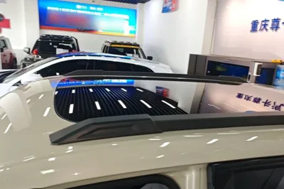 Dongfeng NAMMI 06