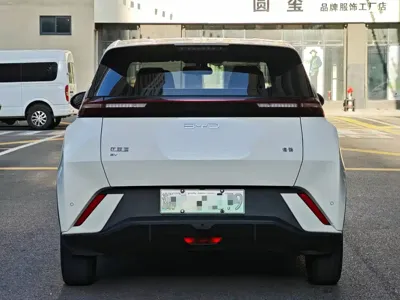 BYD Seagull