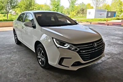 BYD Qin New Energy