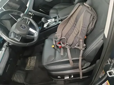 BYD Pro New Energy