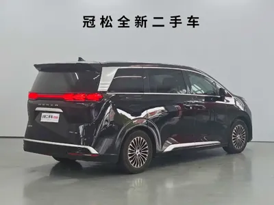 Denza Denza D9