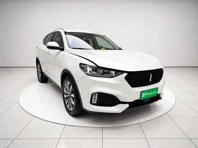 WEY Wey VV6