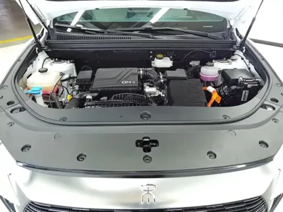BYD Pro New Energy