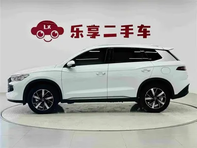 BYD Pro New Energy