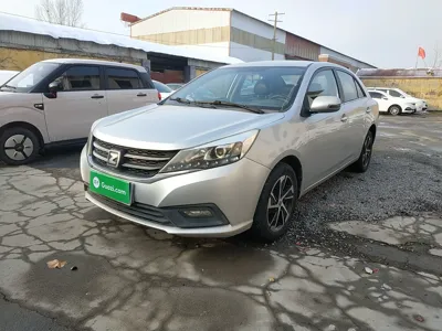 Zotye Z300
