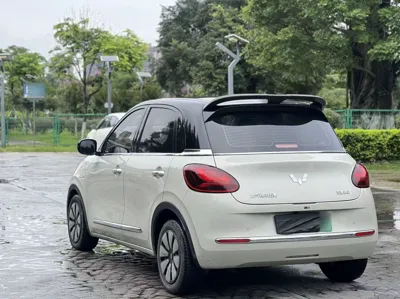 Wuling Bingo