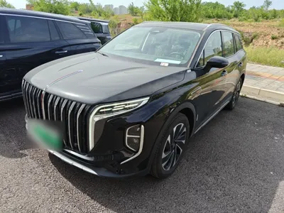 Hongqi HS7 PHEV