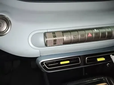 BYD Seagull