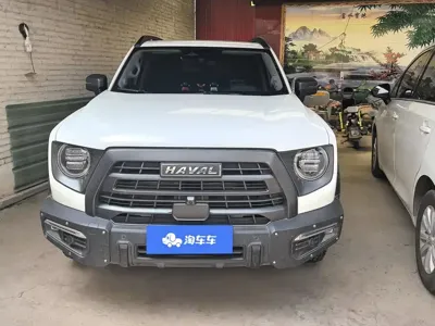 Haval Big Dog