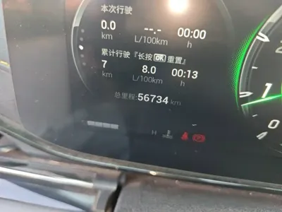 GAC Motor Shadow Leopard
