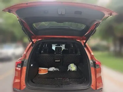 Maxus D60