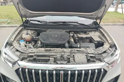 Hongqi HS5