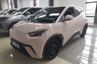 BYD Seagull