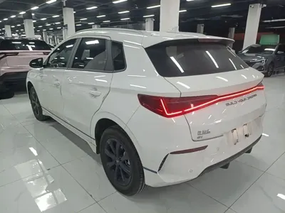 BYD e2